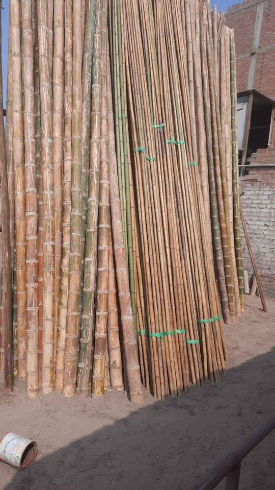 PALO MADERA MAMBU 4" X 6 MT