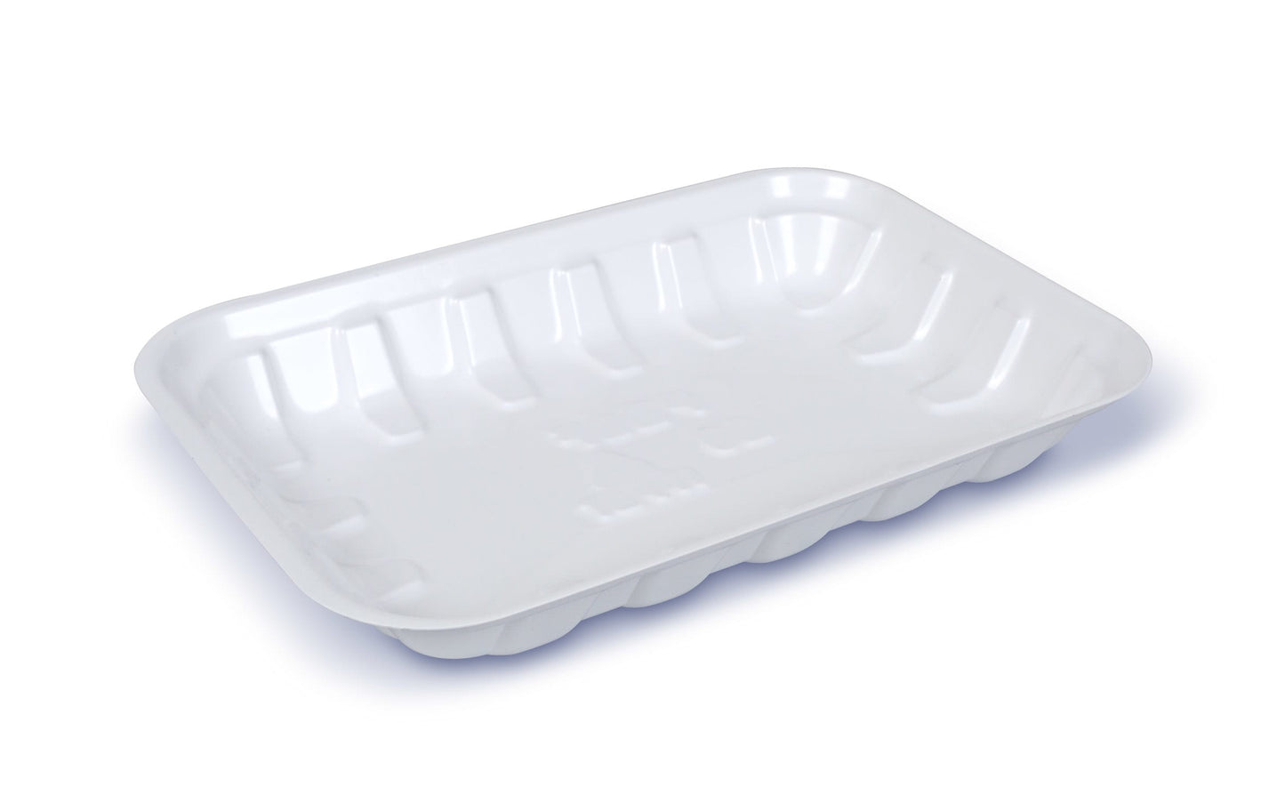 PLATOS DESCARTABLES BANDEJA (25 UND)