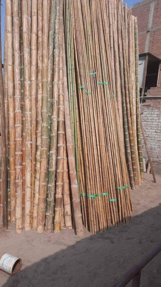 PALO MADERA MAMBU 4" X 6 MT