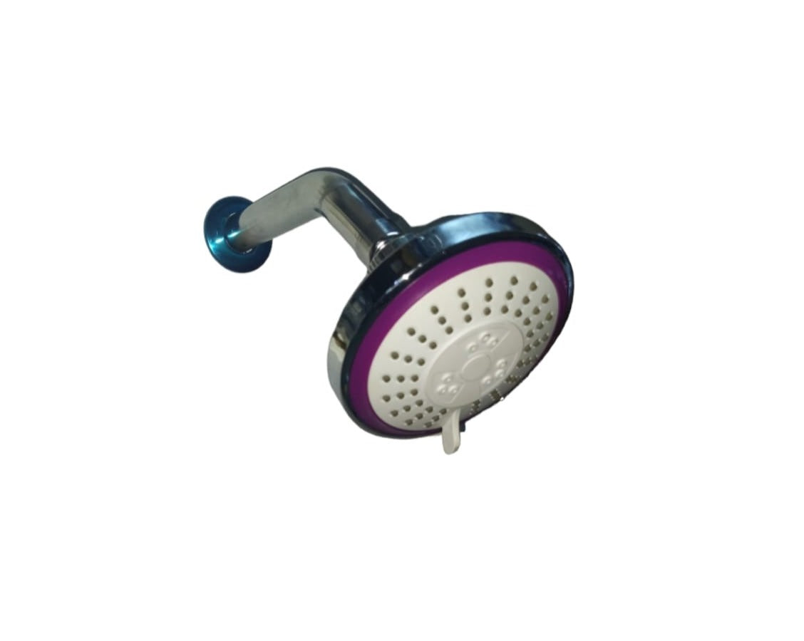 CABEZA DUCHA NACIONAL 205gr C/BRAZO