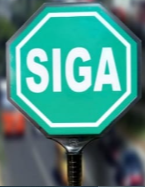 PALETA DOBLE CARA "SIGA"