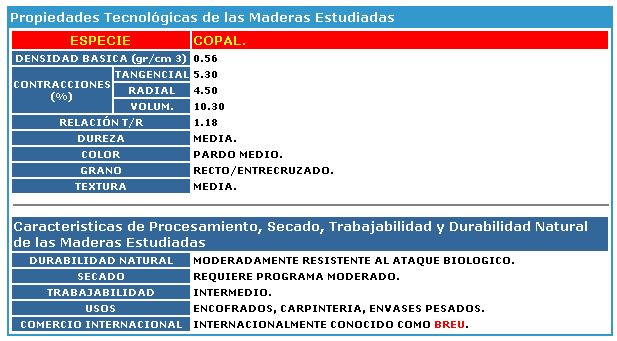 SOLERA MADERA 2 X 4 X 3m COPAL