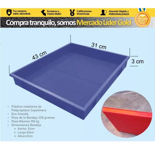 Bandeja Desinfectante Zapatos Calzado Pediluvio Sanitizante