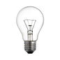 FOCO INCANDESCENTE 100W "ROSVER"