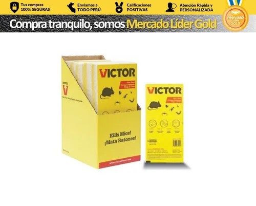 TRAMPA PEGA RATA INSECTOS AMERICANO (6PCS) – Ferropolis PERU